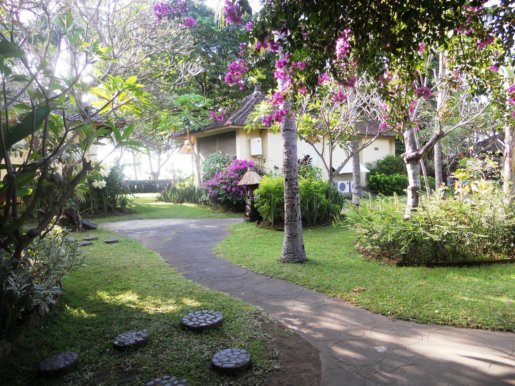 Pabean Buleleng Bali Lovina Beach Cottages מראה חיצוני תמונה