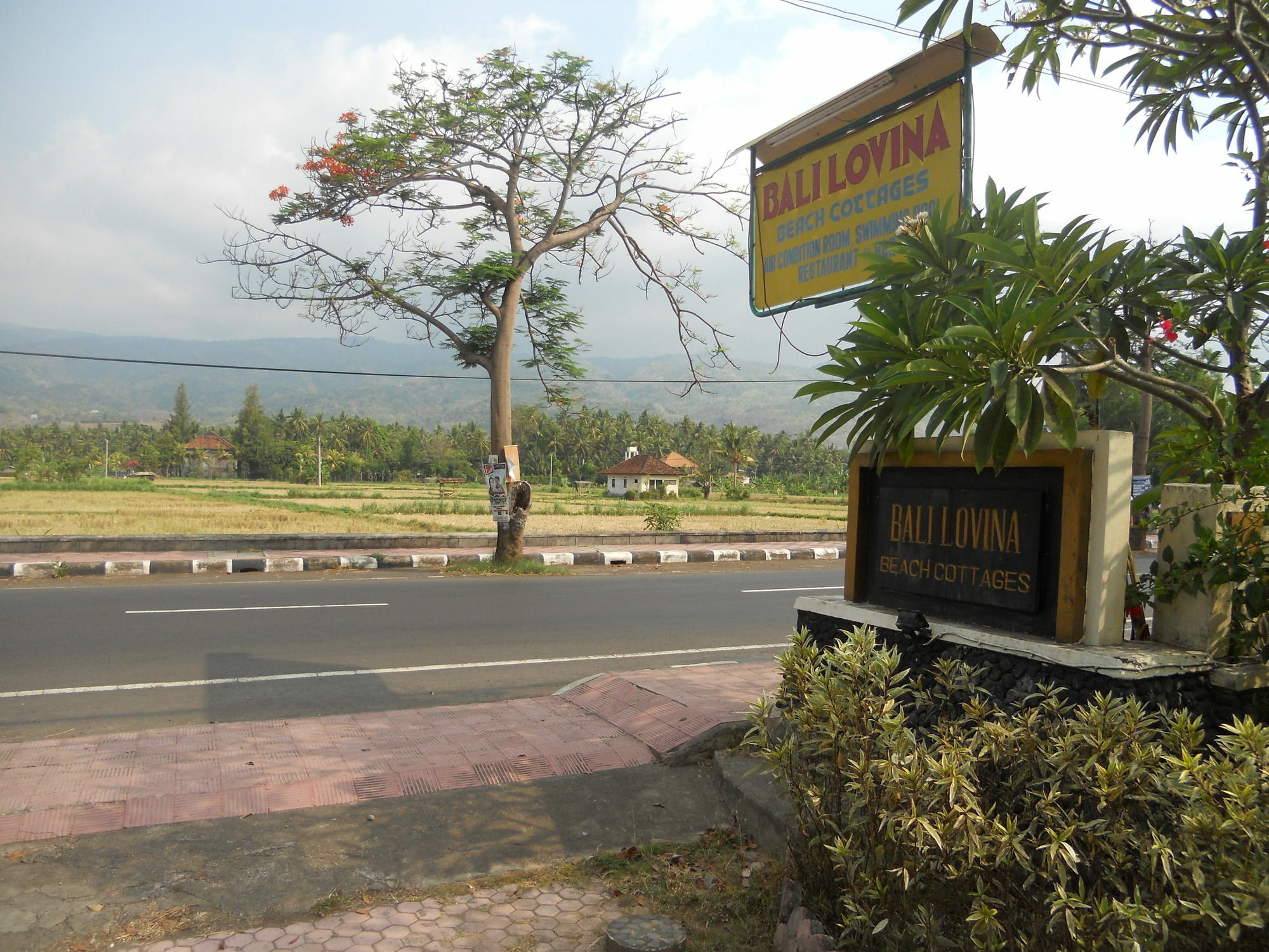 Pabean Buleleng Bali Lovina Beach Cottages מראה חיצוני תמונה