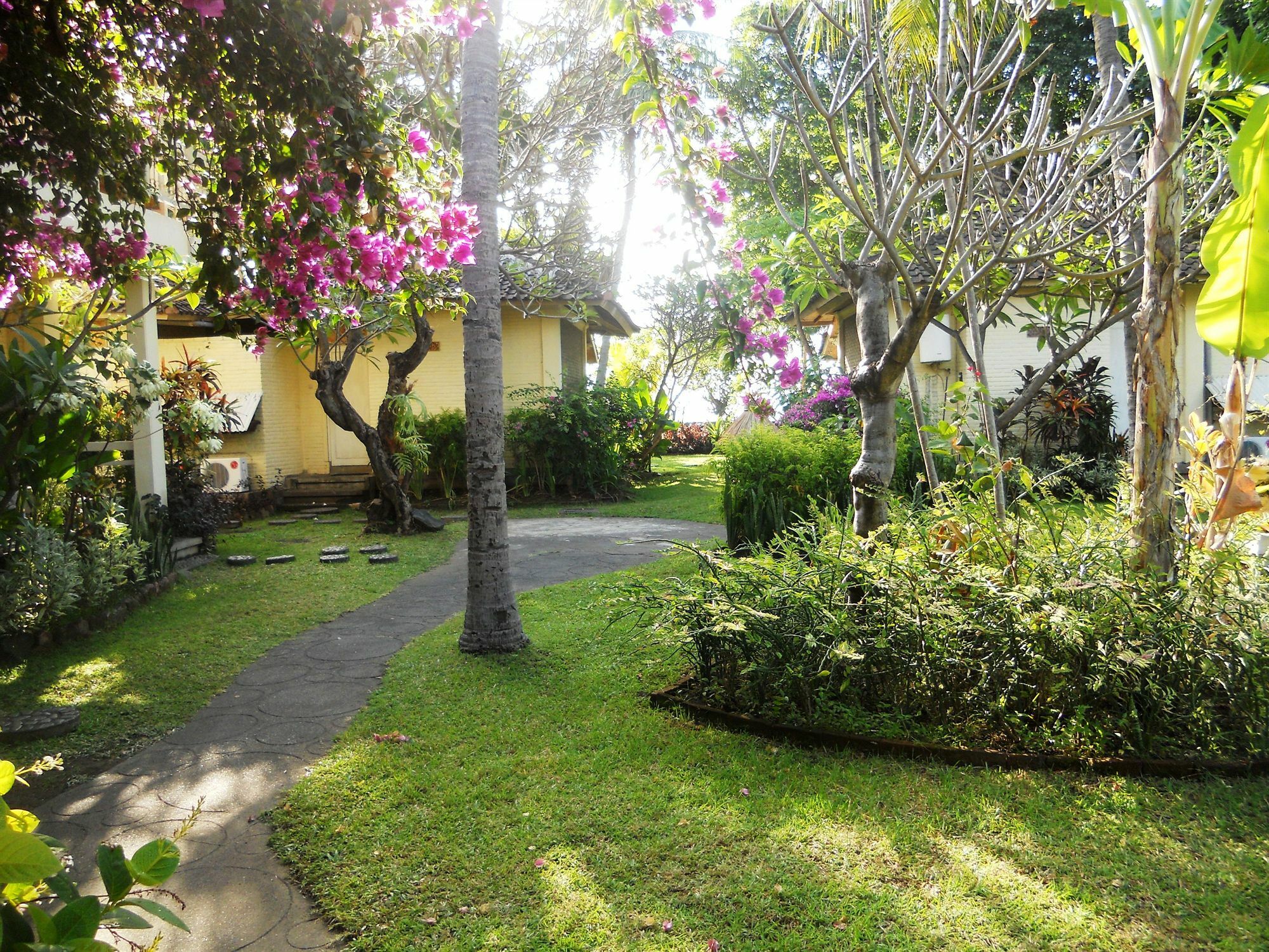 Pabean Buleleng Bali Lovina Beach Cottages מראה חיצוני תמונה
