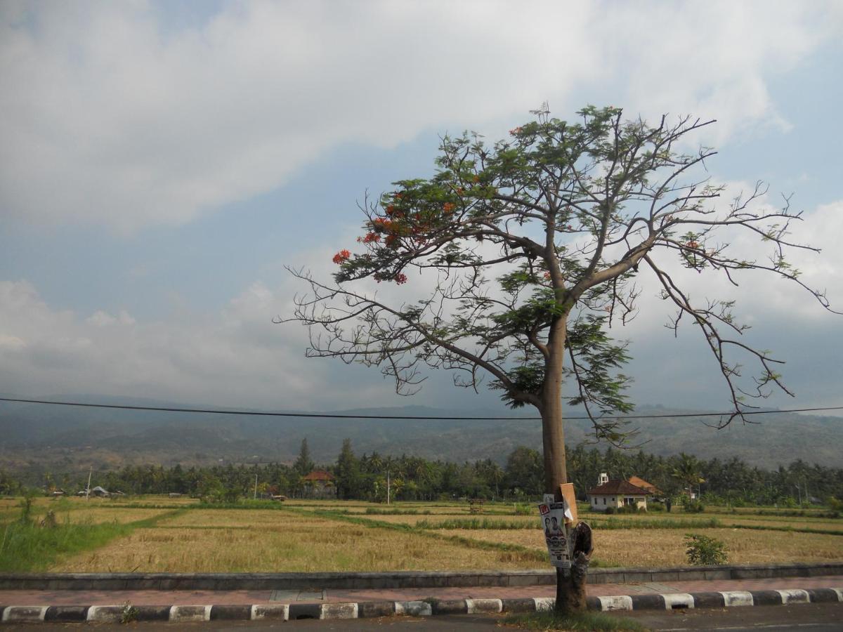 Pabean Buleleng Bali Lovina Beach Cottages מראה חיצוני תמונה